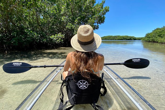Clear Kayak Tour of Shell Key Preserve and Tampa Bay Area - Good To Know