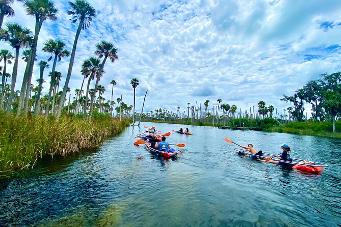 Clear Kayak Tours in Weeki Wachee - Good To Know