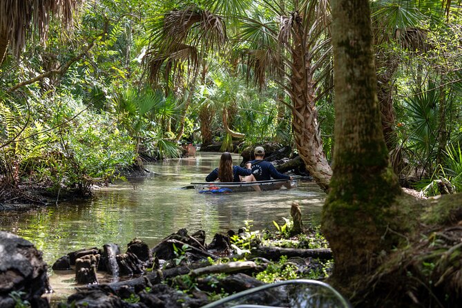 Clear Kayak Tours on Chassahowitzka River - Good To Know