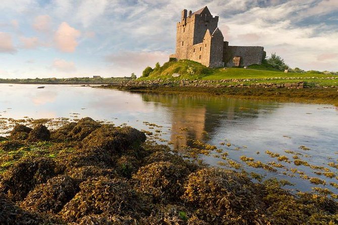 Cliffs Of Moher Tour in English - Tour Highlights