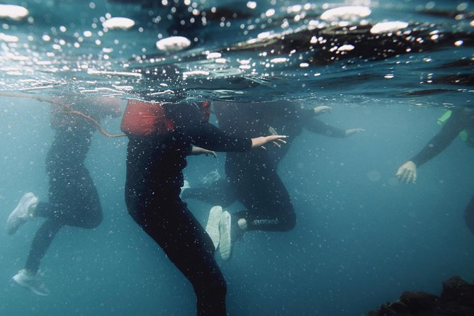 Coasteering Experience in Newquay - Good To Know