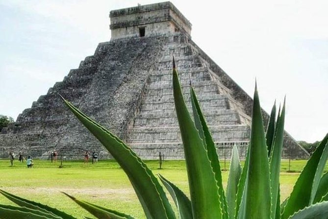 Coba and Chichen Itza Private Tour And, Cenote - Cancellation Policy