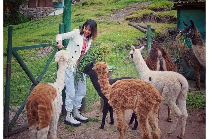 Cochahuasi Animal Sanctuary Private Tour From Cusco - Inclusions and Pickup Details