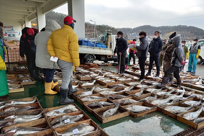 Cod Auction and Clam Auction in Winter - Good To Know