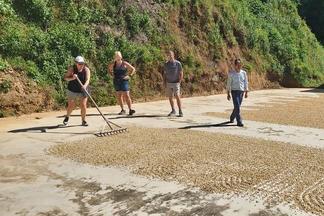 Coffee Plantation Experience - Good To Know