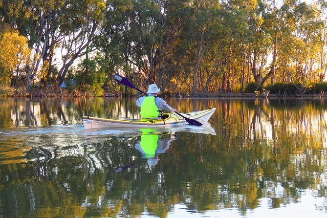 Cohuna Lagoon 3 Hour Kayak Eco Tour - Good To Know