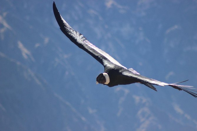 Colca Canyon – 2 Days / 1 Night