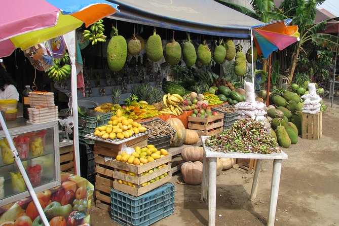 Colima Cultural and Volcano