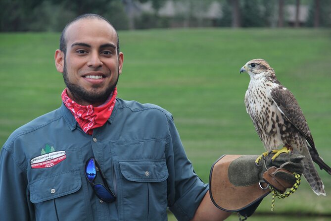 Colorado Springs Hands-On Falconry Class and Demonstration - Good To Know