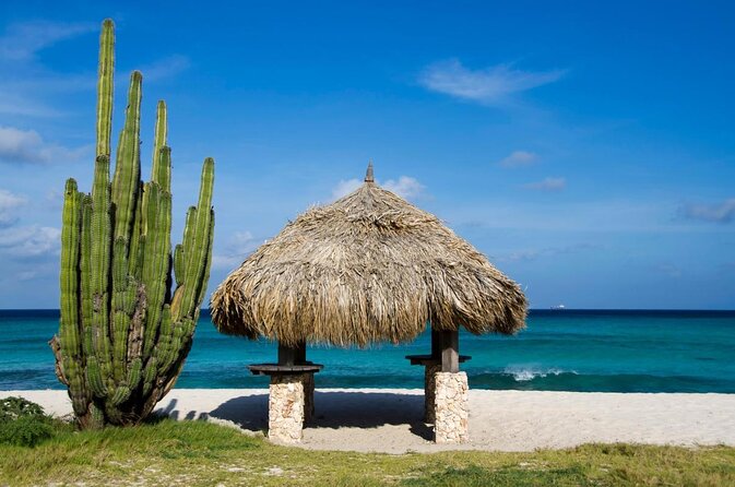 Colorful Beach Bus Sightseeing Tour of Aruba