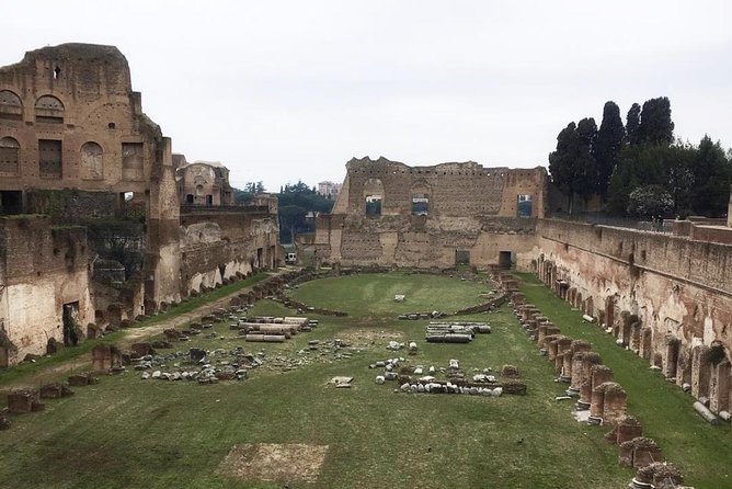 Colosseum With Arena Floor, Roman Forum and Palatine Hill - Private Tour - The Sum Up
