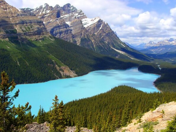 Columbia Icefield Adventure 1-Day Tour From Calgary or Banff
