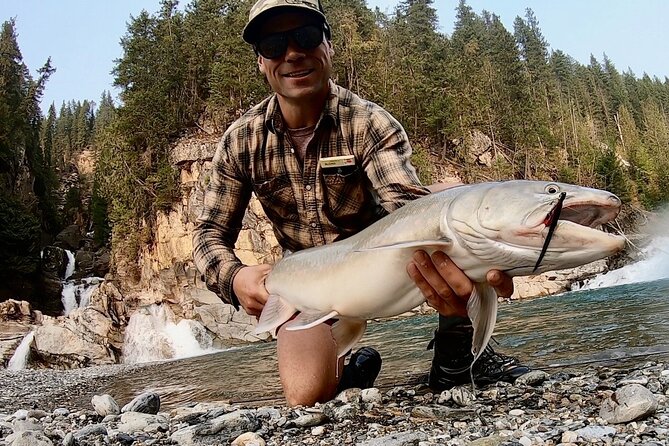 Columbia River Valley Half Day Walk And Wade Fly Fishing Tour - Revelstoke