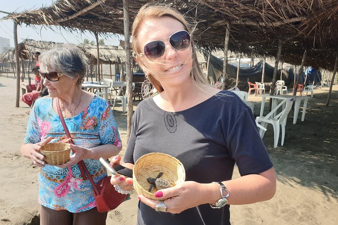 Combo 6 Hr Tour All City Highlights Divers Baby Turtle Release - Pricing and Reservation
