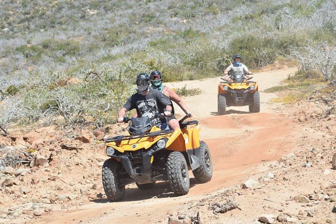 Combo Double Atv Horses