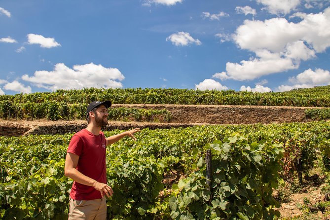 Complete Douro Valley Wine Tour With Lunch, Wine Tastings and River Cruise