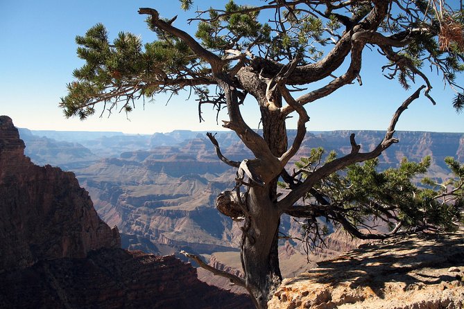 Comprehensive Grand Canyon Tour From Flagstaff W/Lunch