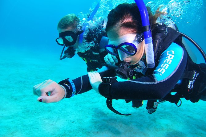 Continue Your Education With the Advanced Open Water Diver Course – 2 Days