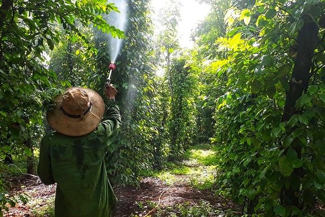 Cooking, Farming and Waterfall In Vietnam Countryside
