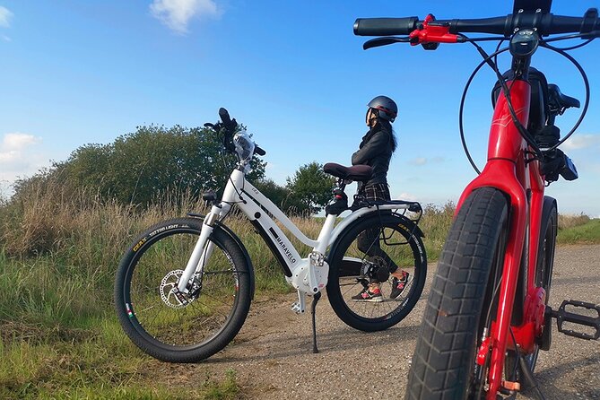 Copenhagen Forgotten Giants Private E-Bike Tour