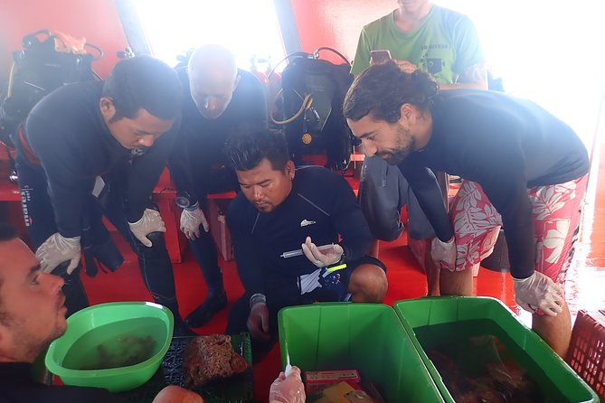 Coral Propagation Workshop- Koh Chang Full Day