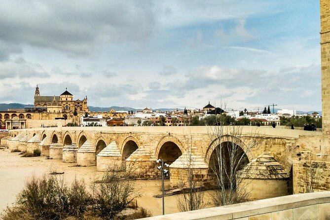 Cordoba Essential Full Day Private Tour From Seville - Good To Know