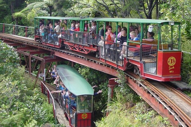 Coromandel Private Day Tour