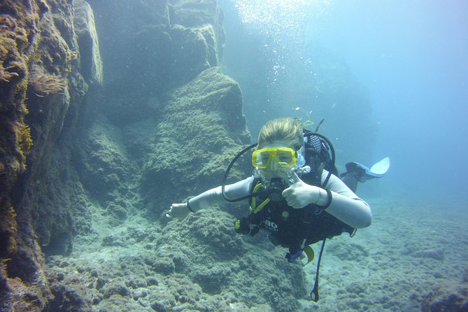 Costa Adeje: 2-Dive Package For Certified Divers  - Tenerife - Package Overview