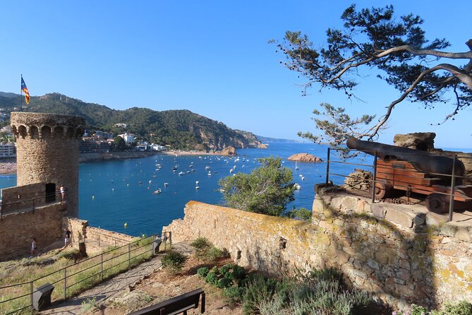 4 Best Scuba Diving Experiences In Barcelona