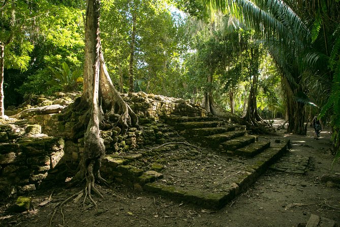 Costa Maya Shore Excursion: Chacchoben Day Trip - Good To Know