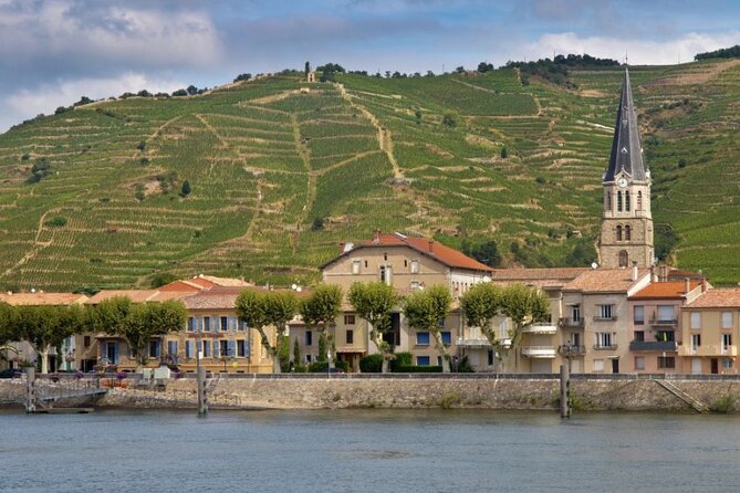 Cote Rotie Wine Half-Day Tour With Tasting From Lyon - Good To Know
