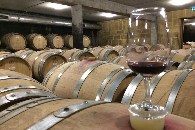 Cotes Du Rhone Wine Tour (9:00 Am to 5:15 Pm) – Small Group Tour From Lyon