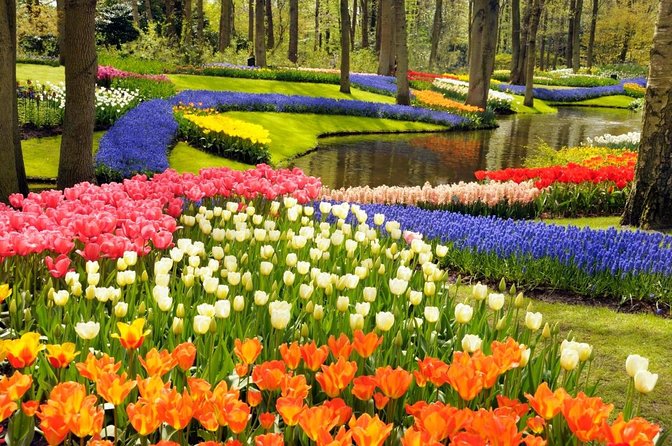 Country of Tulips Tour