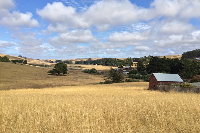 Cow Heaven: a Self-Guided Driving Tour From Point Reyes Seashore to Tomales