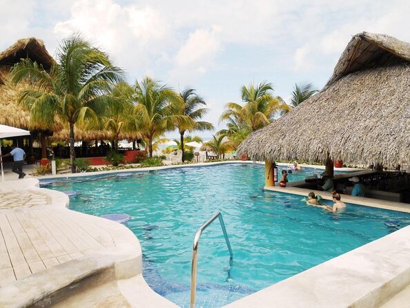 Cozumel Beach Horseback Riding Tour - Good To Know