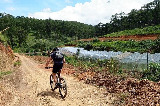 Crazy 8 Mountain Bike Tour From Dalat
