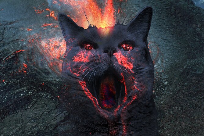 Creative Soul Scavenger Hunt( Waikiki, Oahu) - Good To Know