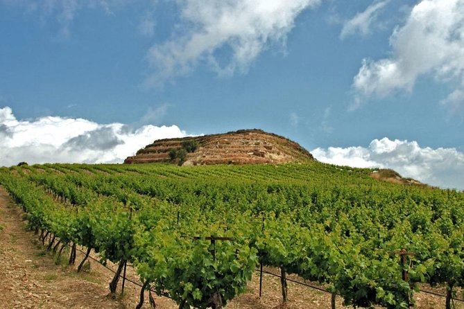 Crete Wine and Olive Oil Tour - Good To Know
