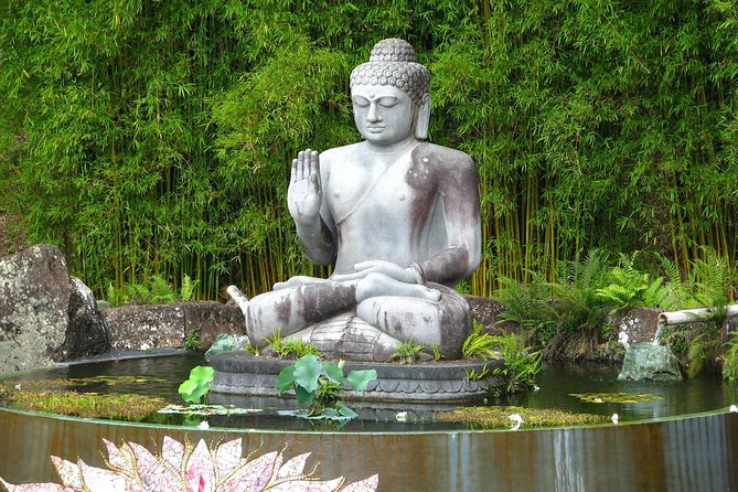 Crystal Castle Shuttle From Byron Bay (Half Day)