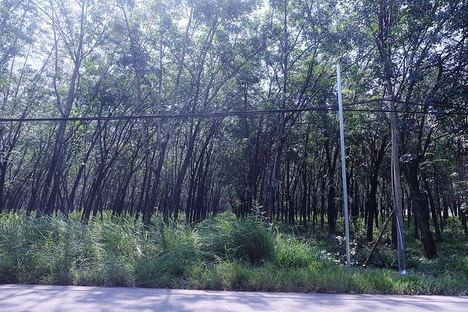 Cu Chi Tunnels By Motorbike and Scooter - Tour Overview and Highlights