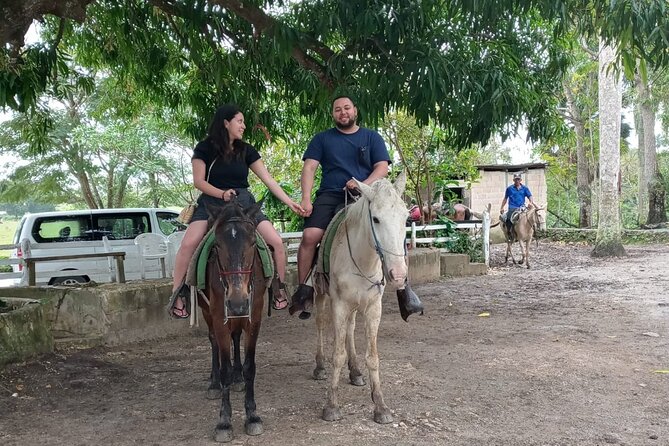 Cultural - Small Group - Local Dominican Experience - Good To Know