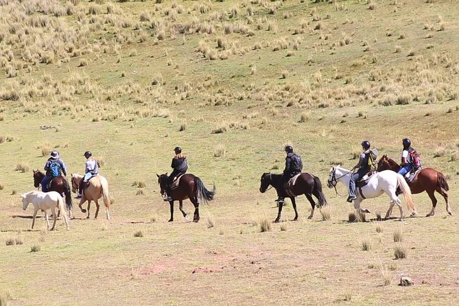 Cusco Day Tour Horse Riding Mystic Tour Full Service The Most Recommended - Horse Riding Experience