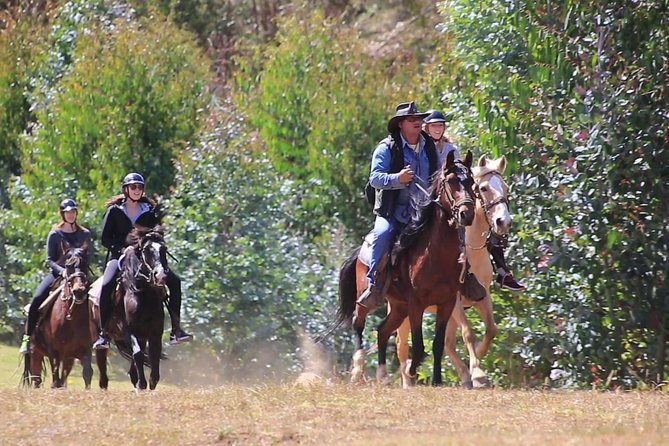 Cusco Small-Group Horseback Ride - Good To Know