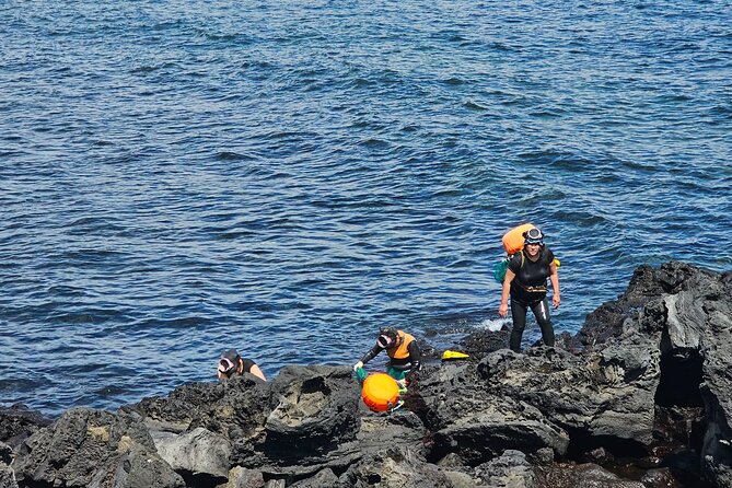 Customized Private Tour in Jeju Island - Good To Know