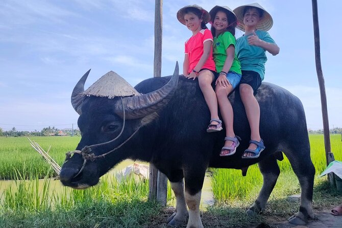 Cycling, Buffalo Ride and Basket Boat Tour in Hoi An - Good To Know