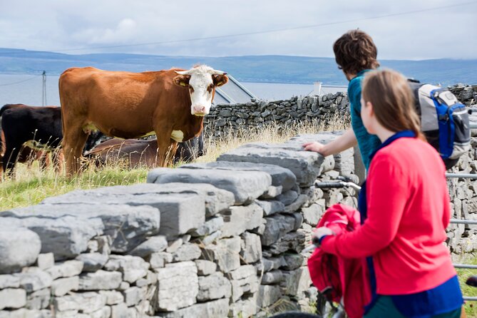 Cycling Galway City. Self-Guided. Full Day. - Good To Know