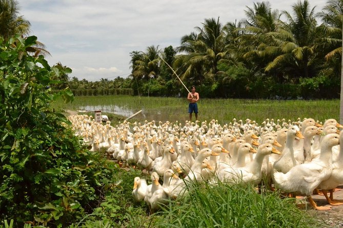 Cycling Inner Mekong Bentre Travinh Cantho 3days - Day 2: TraVinh – CauKe – CanTho (B,L,D)