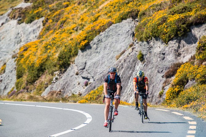 2 Best Bike Tours In Westport