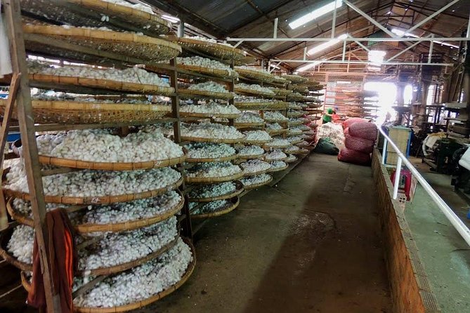Da Lat: Full-Day Discovery Tour by Car  – My Son