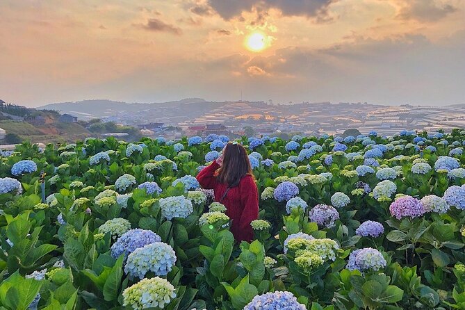 Dalat Private Day Trip From Nha Trang